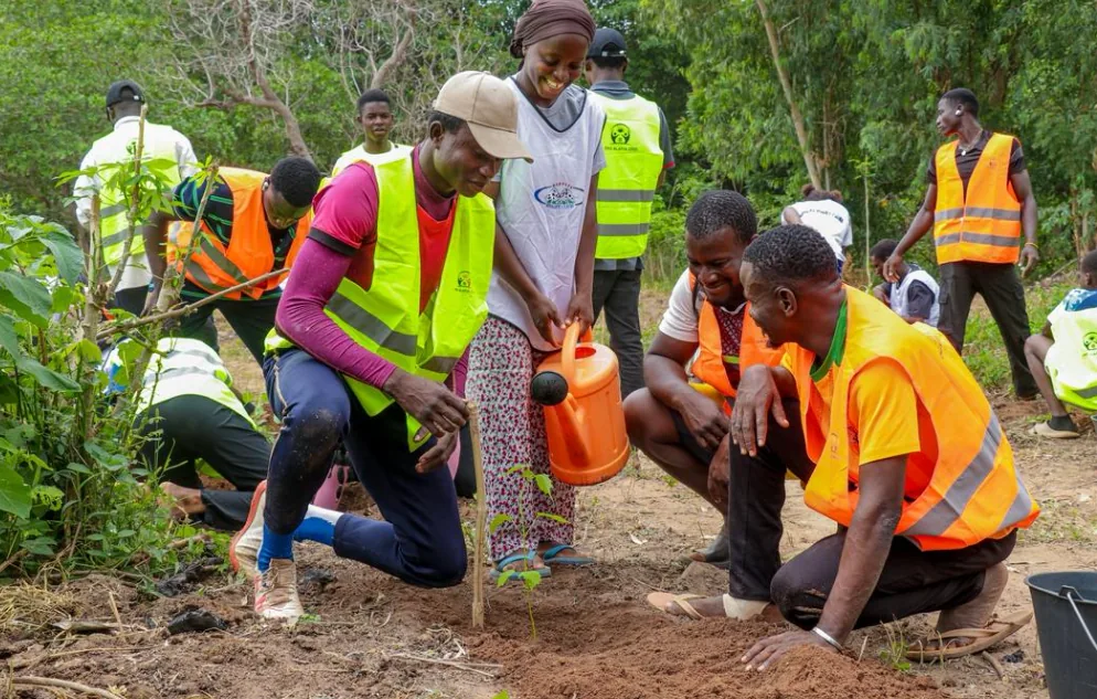 Moment de plantation documente