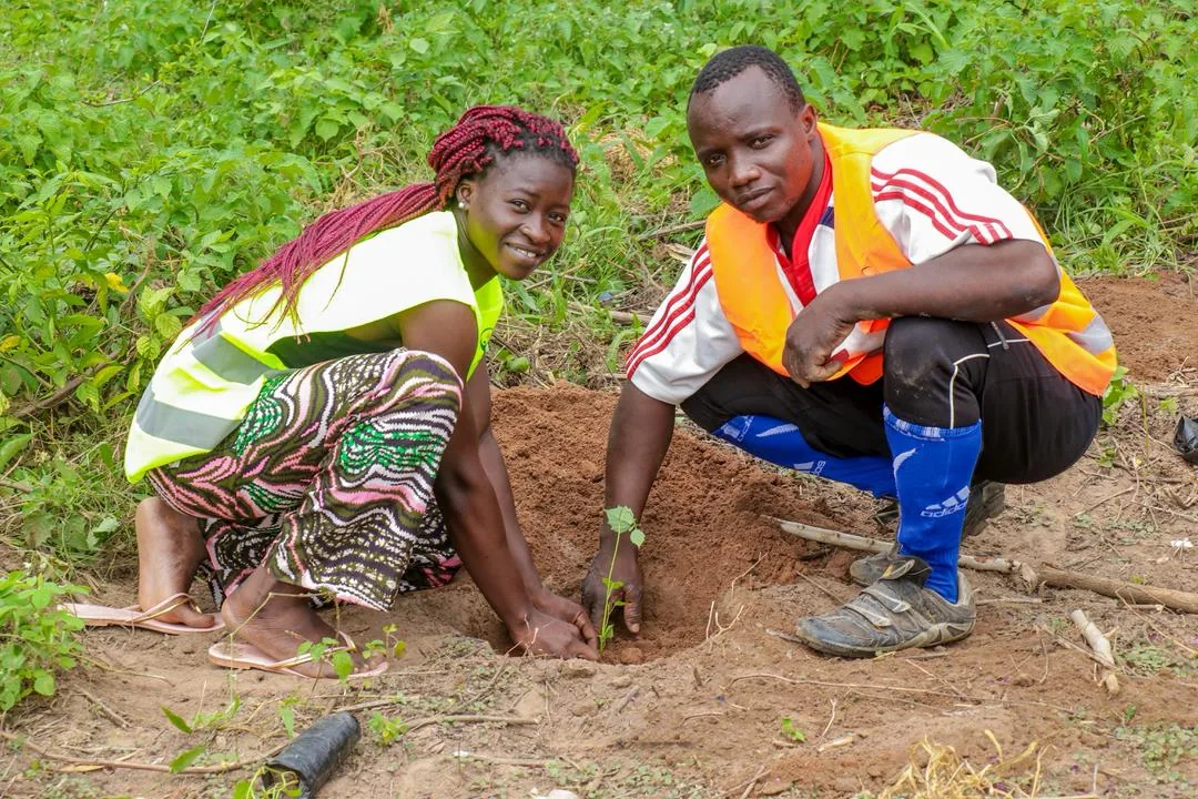 Plantation communautaire